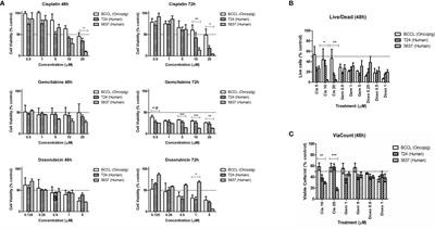 Oncopig bladder cancer cells recapitulate human bladder cancer treatment responses in vitro